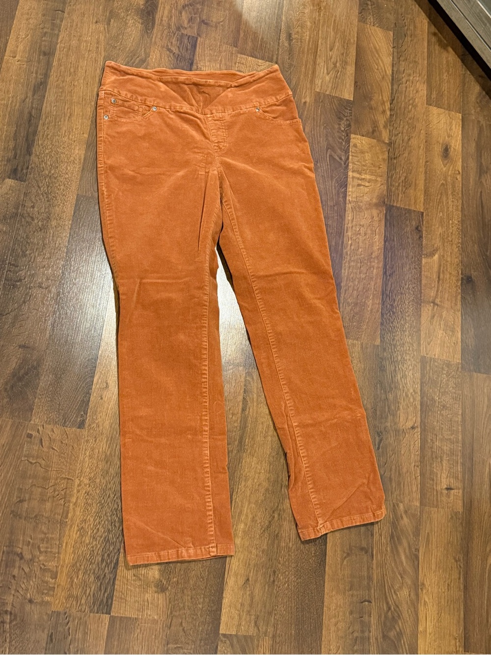 Chadwick’s of Boston corduroy women’s pants size 10 - burnt orange rust color